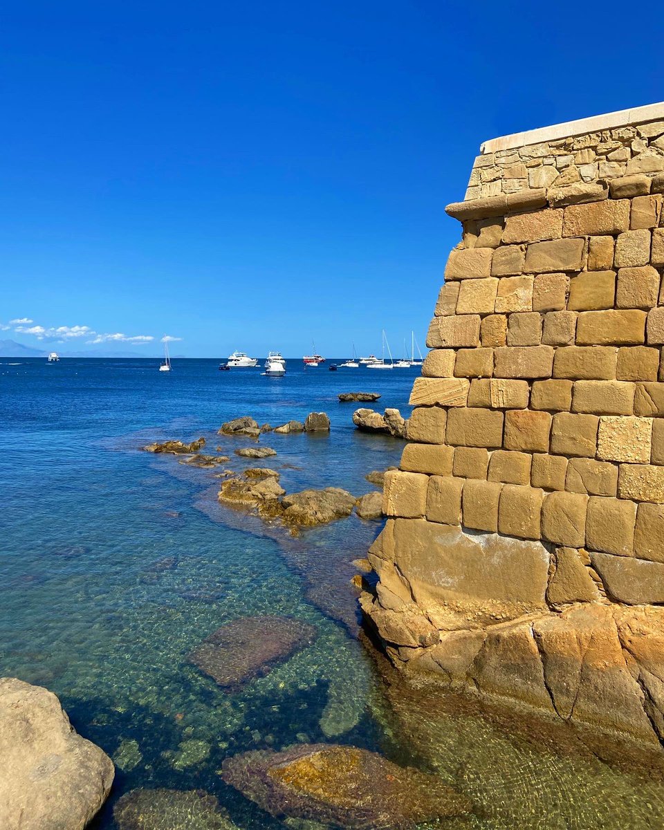 costablancaorg tweet picture