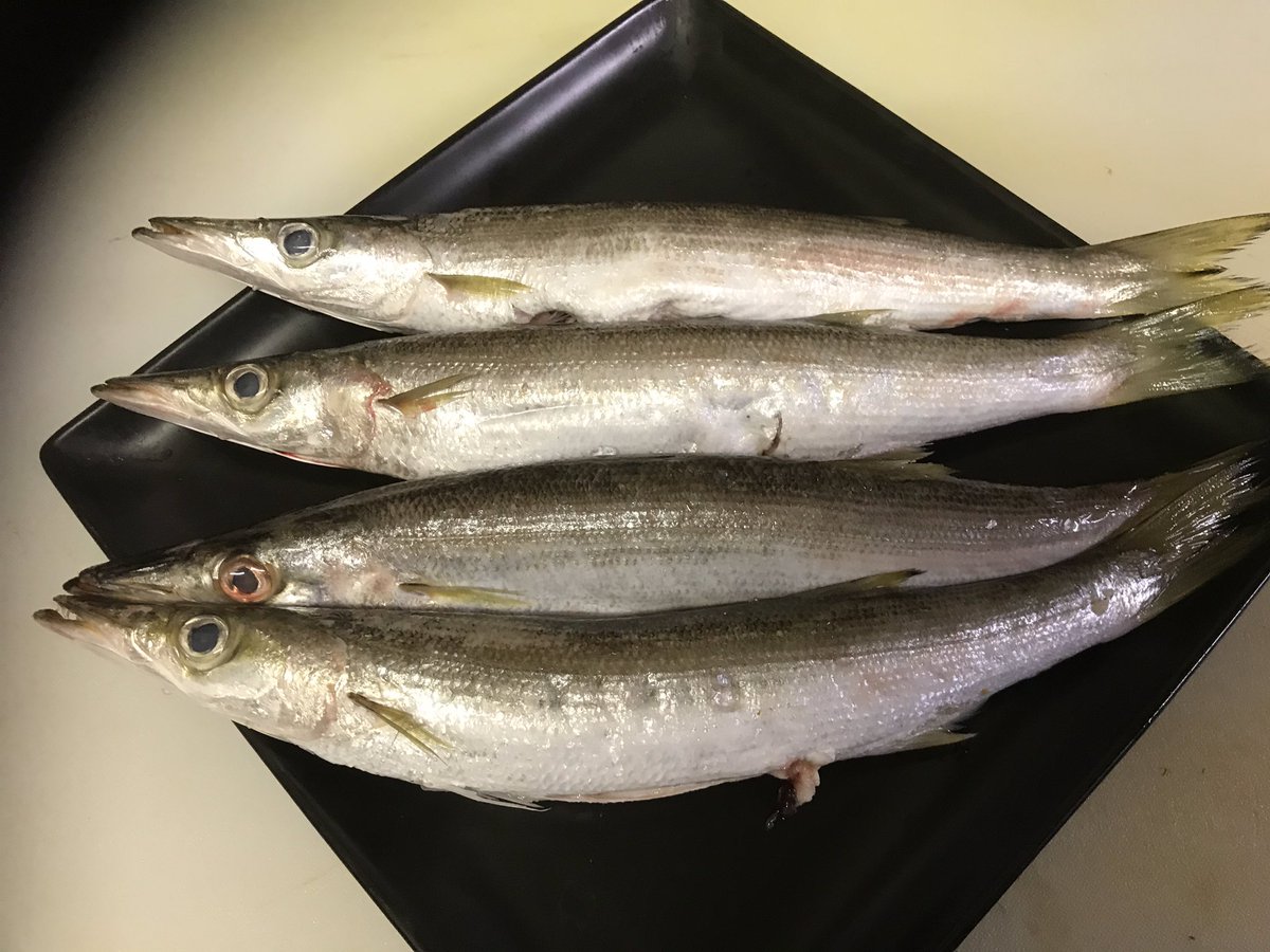 カマス塩焼き カマス塩焼き