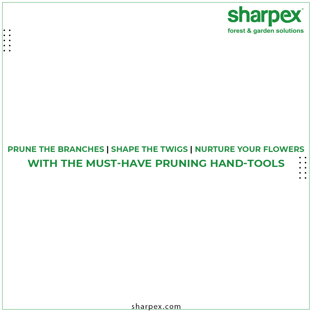 sharpexblog's tweet photo. The soft ergonomically non-slip handle grip is designed to give superior comfort whilst garden pruning for less hand ache.
ReadMore:https://t.co/mwHgwAwo76

#GardeningTools #ModernGardeningTools #GardeningProducts #GardenProduct #Sharpex #SharpexIndia https://t.co/eEcPiOXiyk