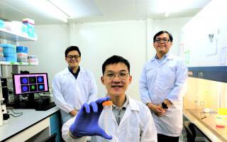 南大研发出无需药物就能杀死癌细胞的方法 zaobao.com/realtime/singa…