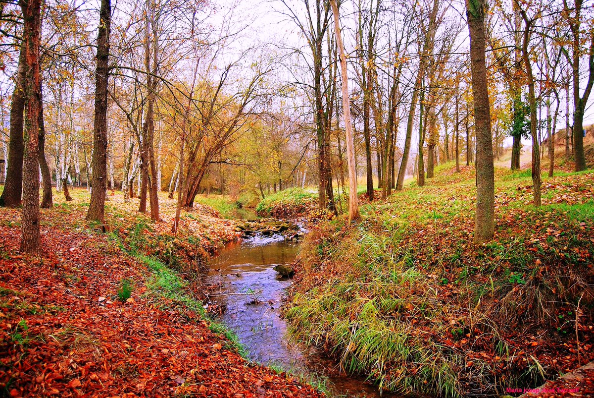 Comença la tardor, l'estació de l'any que a #laSegarra ens deixarà imatges com aquestes. 🍁🍂🍁🍂
#segarrejant
📷 <a href="/alittasobi/">attila</a> @1ramonz <a href="/MariajosepJove/">Mariajosep Jové</a> 
<a href="/aralleida/">Ara Lleida</a> <a href="/catexperience/">Catalunya Experience</a> @GR170llobregos
