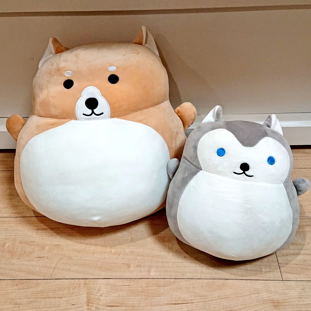 もちもちぬいぐるみ Twitter Search Twitter もちもちぬいぐるみ Twitter Search Twitter