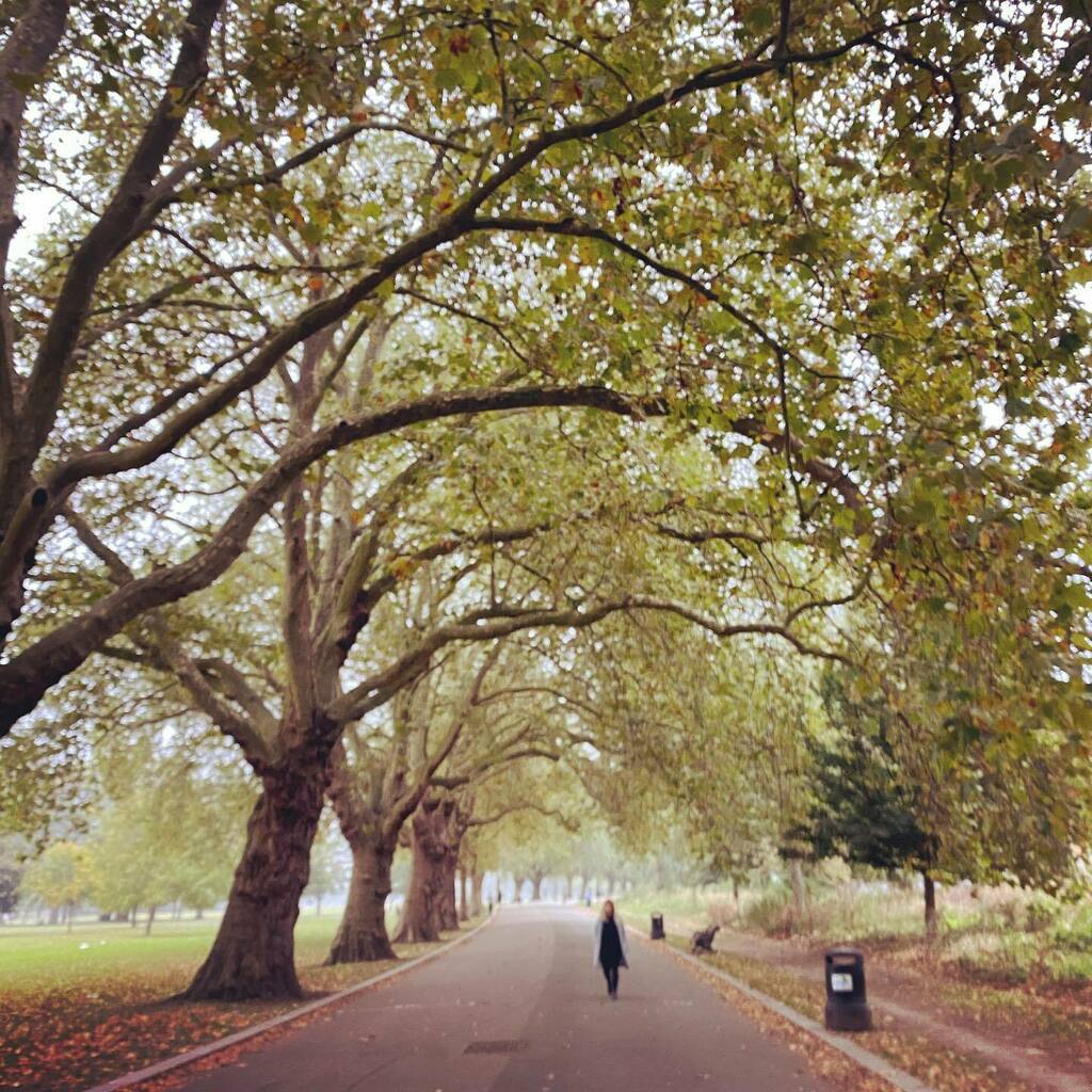 hapticchiro's tweet photo. Autumn has got to be my favourite time on year in London! 

#autumn #running #victoriapark #london #alltheleavesarebrown #chiro #chiropractor #livemore https://t.co/SXPLYC4FP5 https://t.co/xqh2I3Hpj2