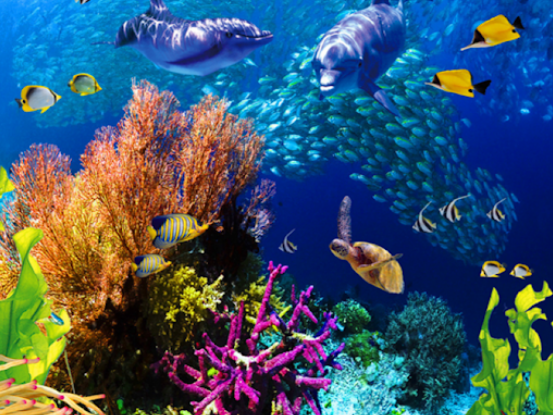 lookuptv's tweet photo. Make extraordinary discoveries and uncover a breathtaking world on our #EducationalDocumentary every week day @10-11am https://t.co/SBy0KGOegb