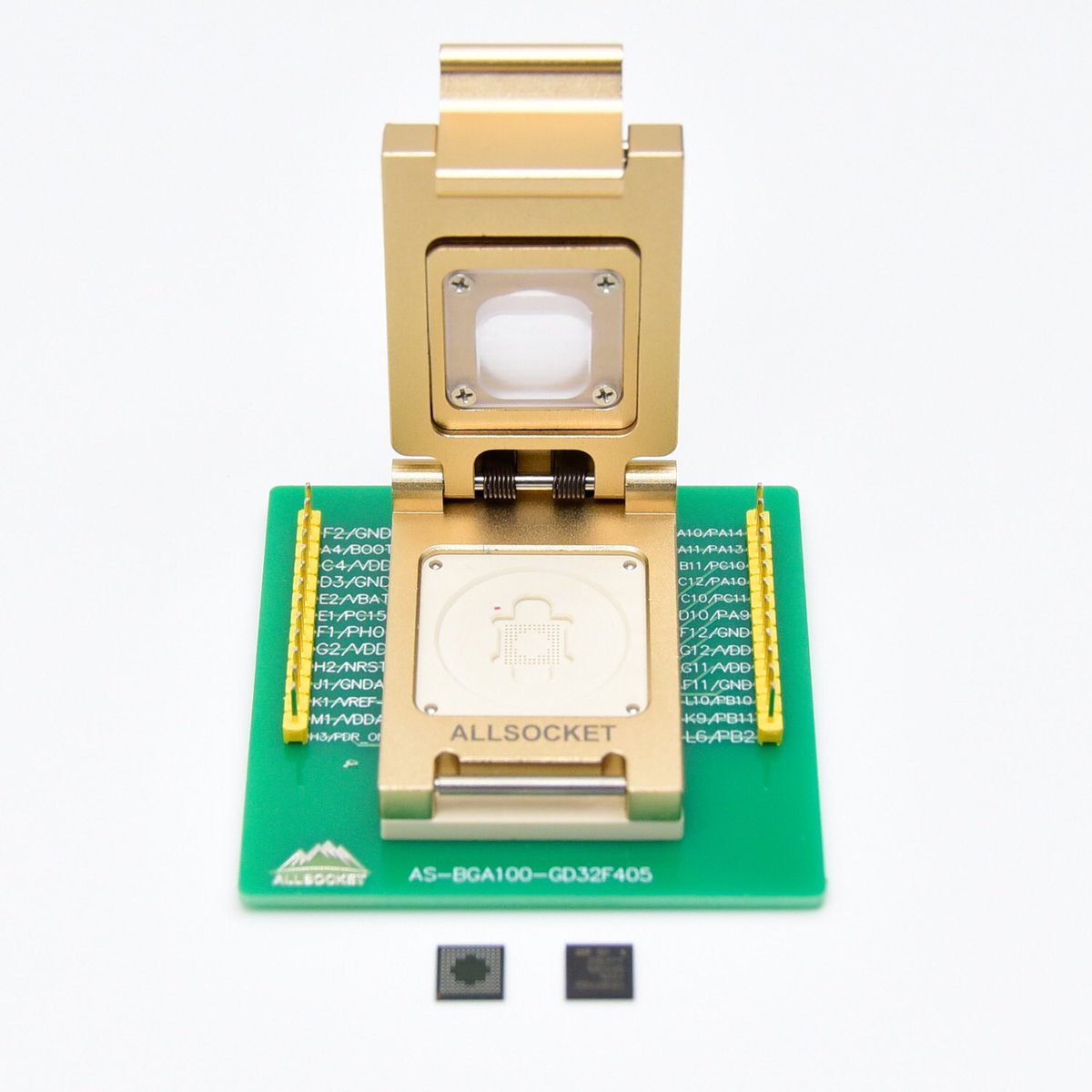 DiannAllsocket tweet picture