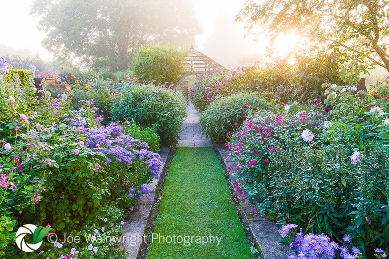 Wollerton Old Hall Garden tweet media