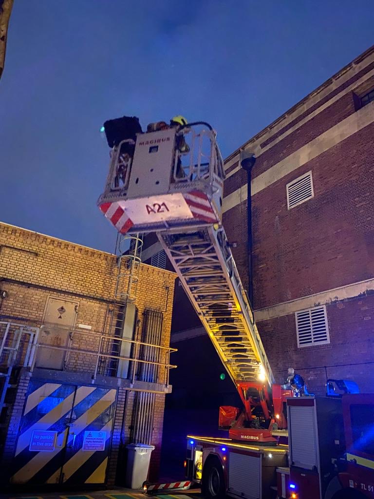 Elvis lives.........Puuuuurfect rescue by <a href="/HounslowFire/">LFBHounslow</a> #chiswick White Watch using a Turntable Ladder from #Paddington. Elvis was 30 ft up and needed specialist rescue equipment from <a href="/LondonFire/">London Fire Brigade</a> to bring him home. Happy cat even though he was All Shook Up