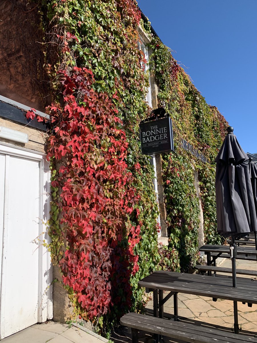Autumn colours starting to show 🍁

#helloautumn #botiquehotel #thebonniebadger #bonniebadger #gourmetescape #gullane #eastlothian #visiteastlothian #tomkitchin #pubwithrooms #bibgourmand #gastropub #fromnaturetoplate #localproduce #phenomenalfood #autumnvibes #ivycovered