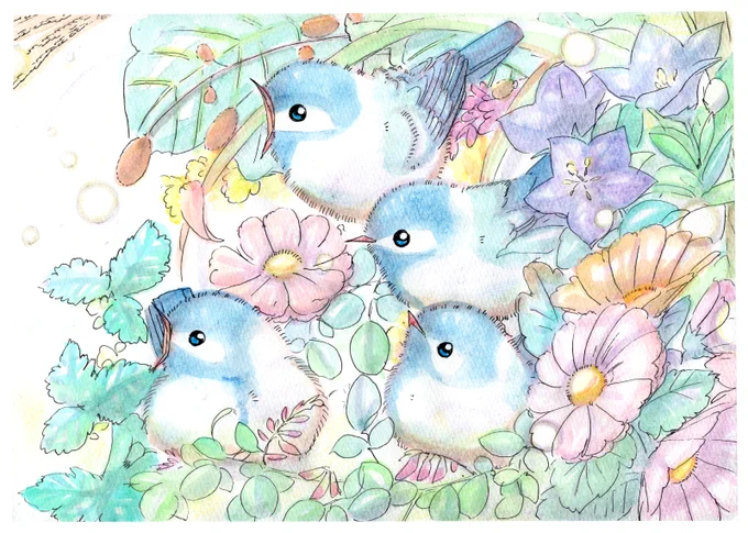 色どりの季節へ?
#イラスト #鳥 #アナログ 