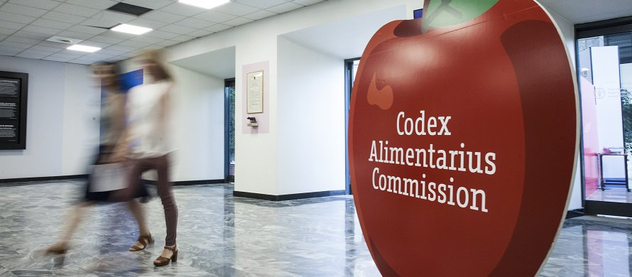 FAOWHOCodex's tweet photo. π€ | Planning to attend #CodexCAC43?
The #CodexSecretariat has prepared guidance for members and observers to facilitate the smooth running of the #CodexAlimentarius Commission.
Get your copy here β‘οΈ https://t.co/OCcwYZVgoa https://t.co/opuWQ6D9u6