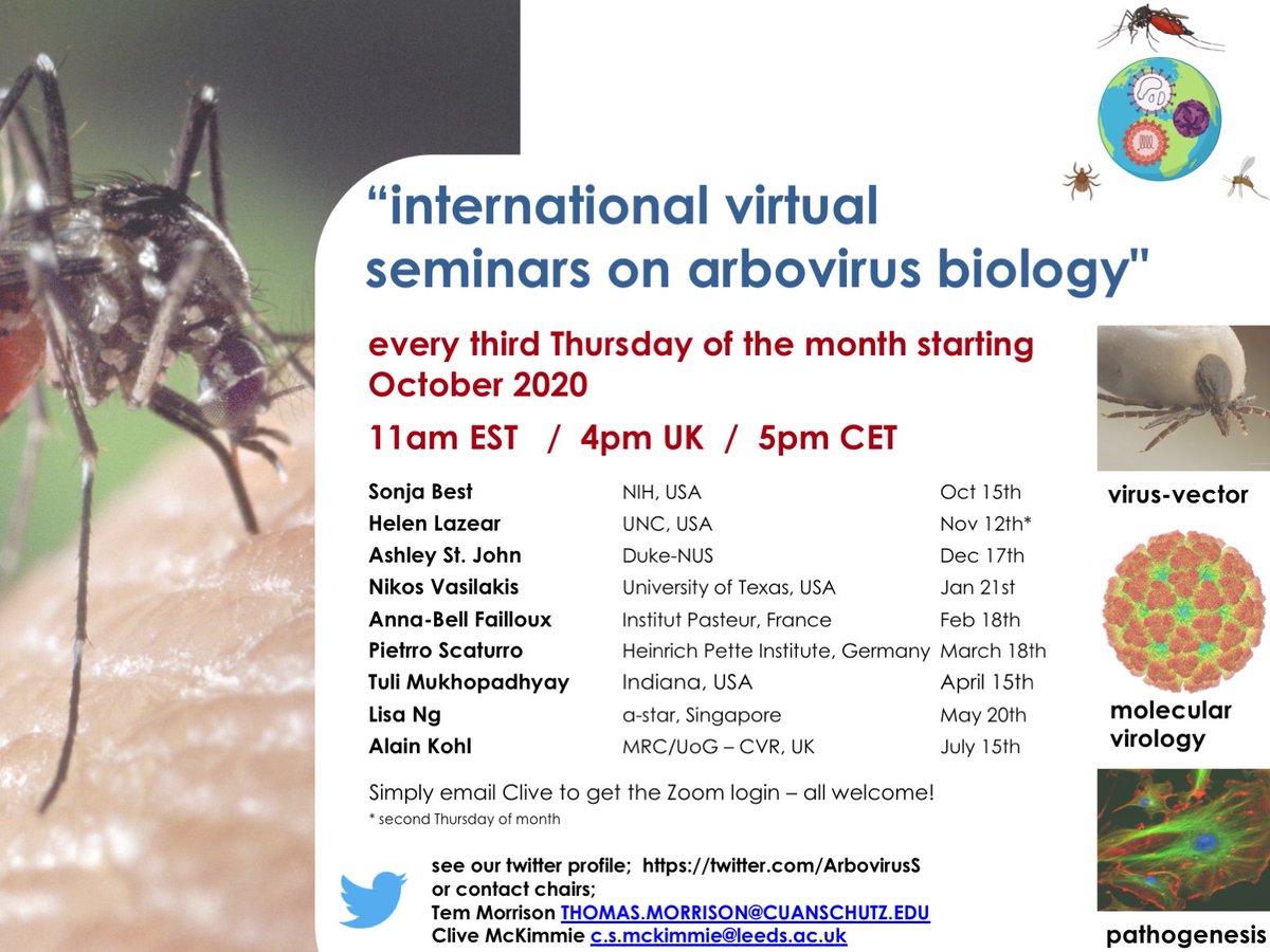 Hi! We're excited to announce the inauguration of "international virtual seminars on arbovirus biology". The best science in arbovirology from world-leading investigators. Every third Thursday of the month on Zoom. See pic for details.