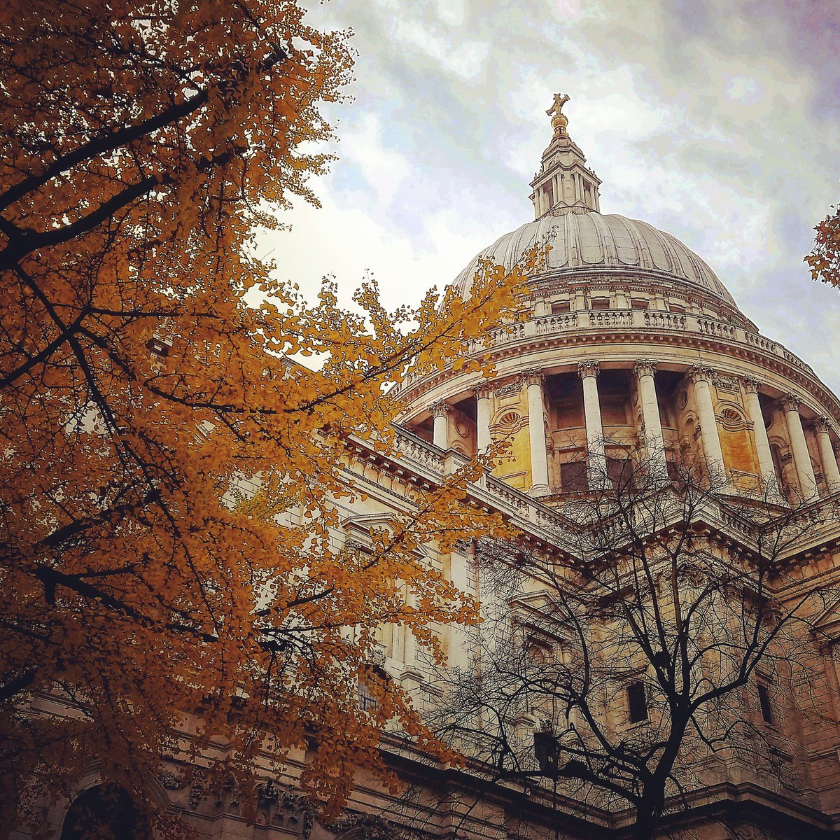 wanderingwus's tweet photo. "E all’improvviso, l’estate sprofondò nell’autunno." 
Oscar Wilde 🍁🍂
#autumninlondon #autunnoalondra #stpaulscathedral #cityoflondon #visitthecity #citygardens https://t.co/LofpQDFBhF