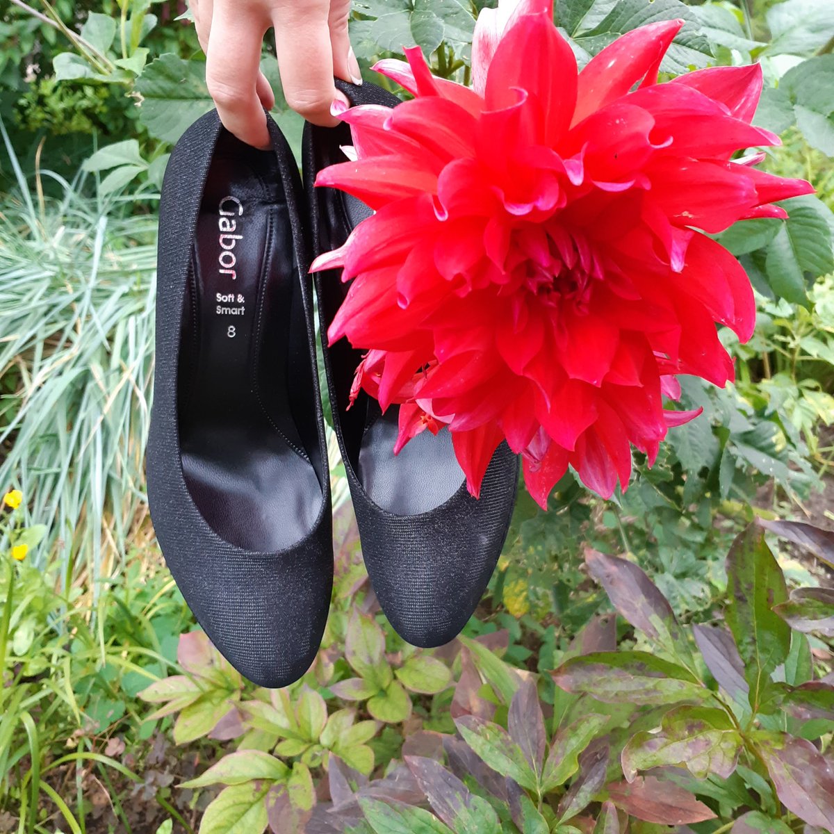 ZaigaUzSalas's tweet photo. Runā, ka sarkanais ir drosmīgajām. Cik bieži tu esi drosmīga?
👠 #Gabor 41.5-43.5
https://t.co/Ycdo9c2wXF
They say red is for brave ones. How often are you brave?
#heels #bigshoes #bigsizeshoes #tallfashion #TallStyle #largeshoes #largesizeshoes #plussizeshoes https://t.co/sePaJ8BE28