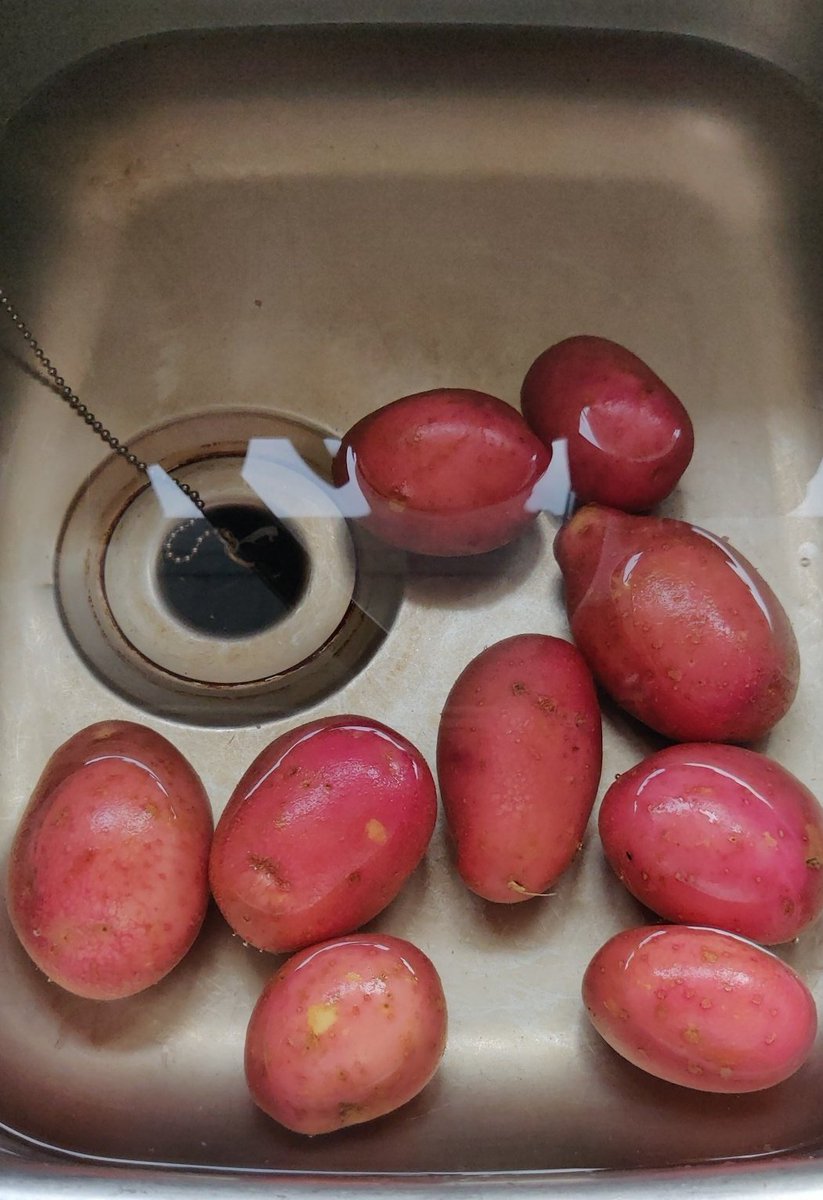 Ye thought I was joking about this. I was not! Nuair a bhí mé i mo pháiste, d'ith mé mórán lumpy mash, and I hated it. As soon as I was old enough to cook, I swore never again would my mash be lumpy!Step one: peel your spuds in warm water.  https://twitter.com/Motherfocloir/status/1308651066033135616