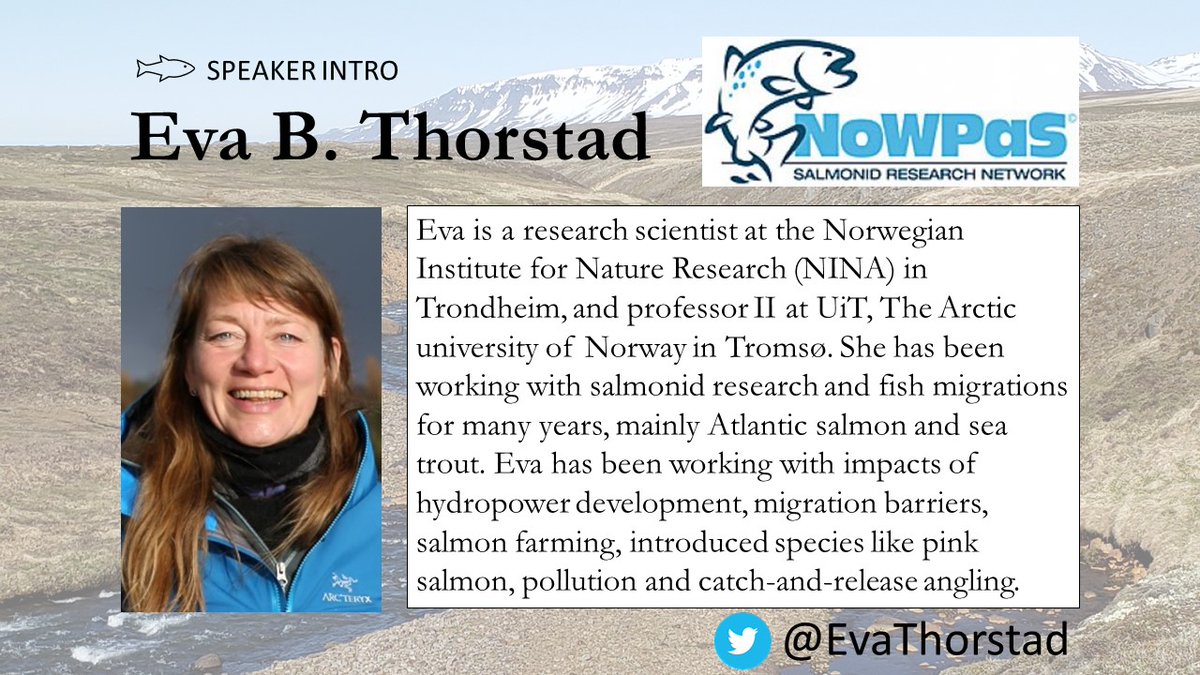 📢NoWPaS announcement! The NoWPaS committee is excited to announce that Eva B. Thorstad will be one of our keynote speakers for our 2021 meeting so be sure to join us in France next year!🐟🎉🐟 #salmonids #NoWPaS2021 @EvaThorstad