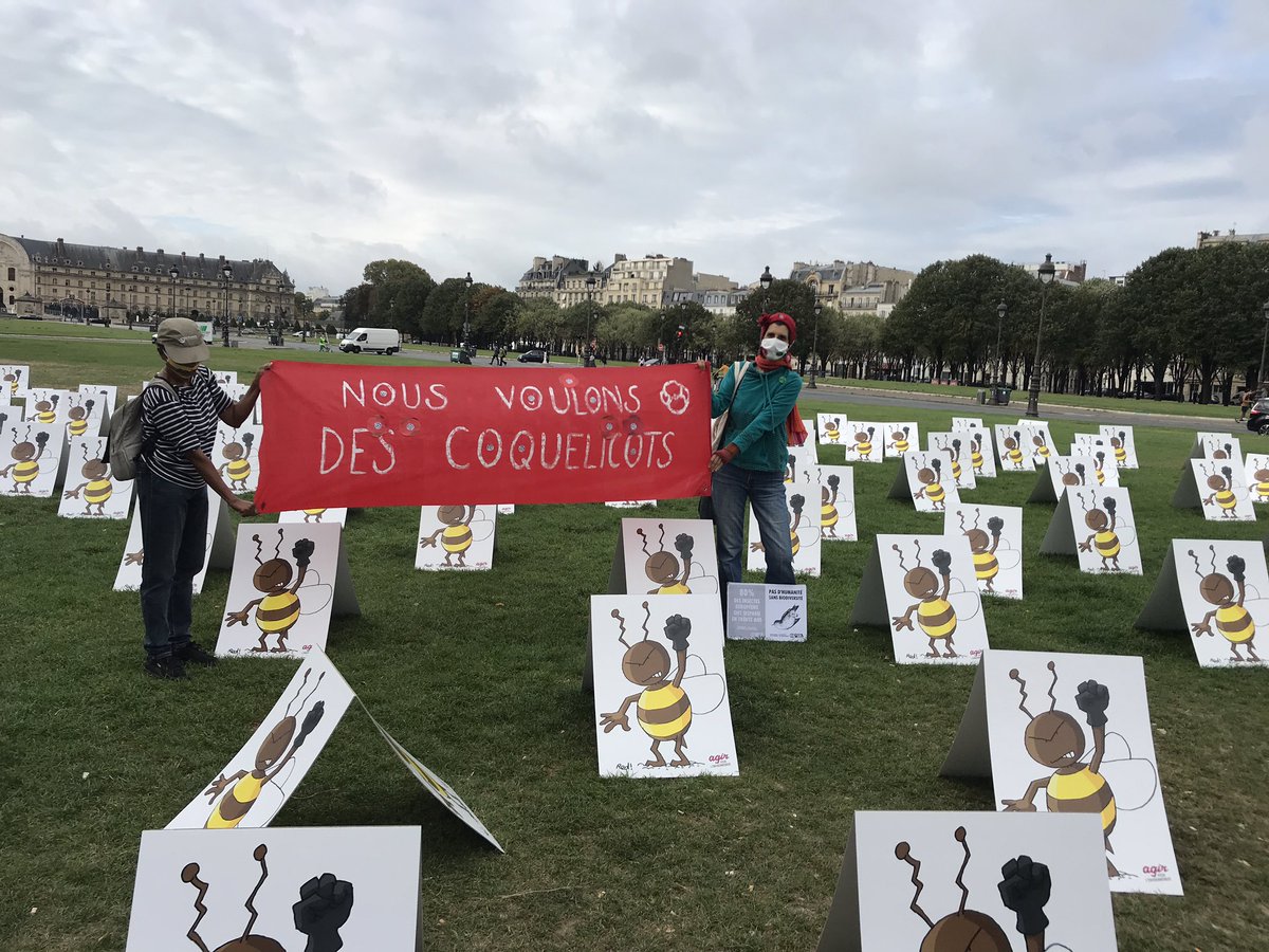 Avec les associations et les élu.e.s pour défendre les #abeilles, l’#environnement, le #vivant et dire NON aux #Neonicotinoides ! NON aux #pesticides de synthèse ! #UrgenceEcologie #Biodiversite <a href="/UEcologie/">UrgenceEcologie</a> <a href="/MdpMouvement/">Mouvement des Progressistes</a> <a href="/APEnvironnement/">Agir pour l’environnement</a> <a href="/coquelicots_/">Nous voulons des Coquelicots</a> <a href="/ConfPaysanne/">Conf' Paysanne</a> <a href="/MarcheMonsanto/">STOP MONSANTO BAYER</a>