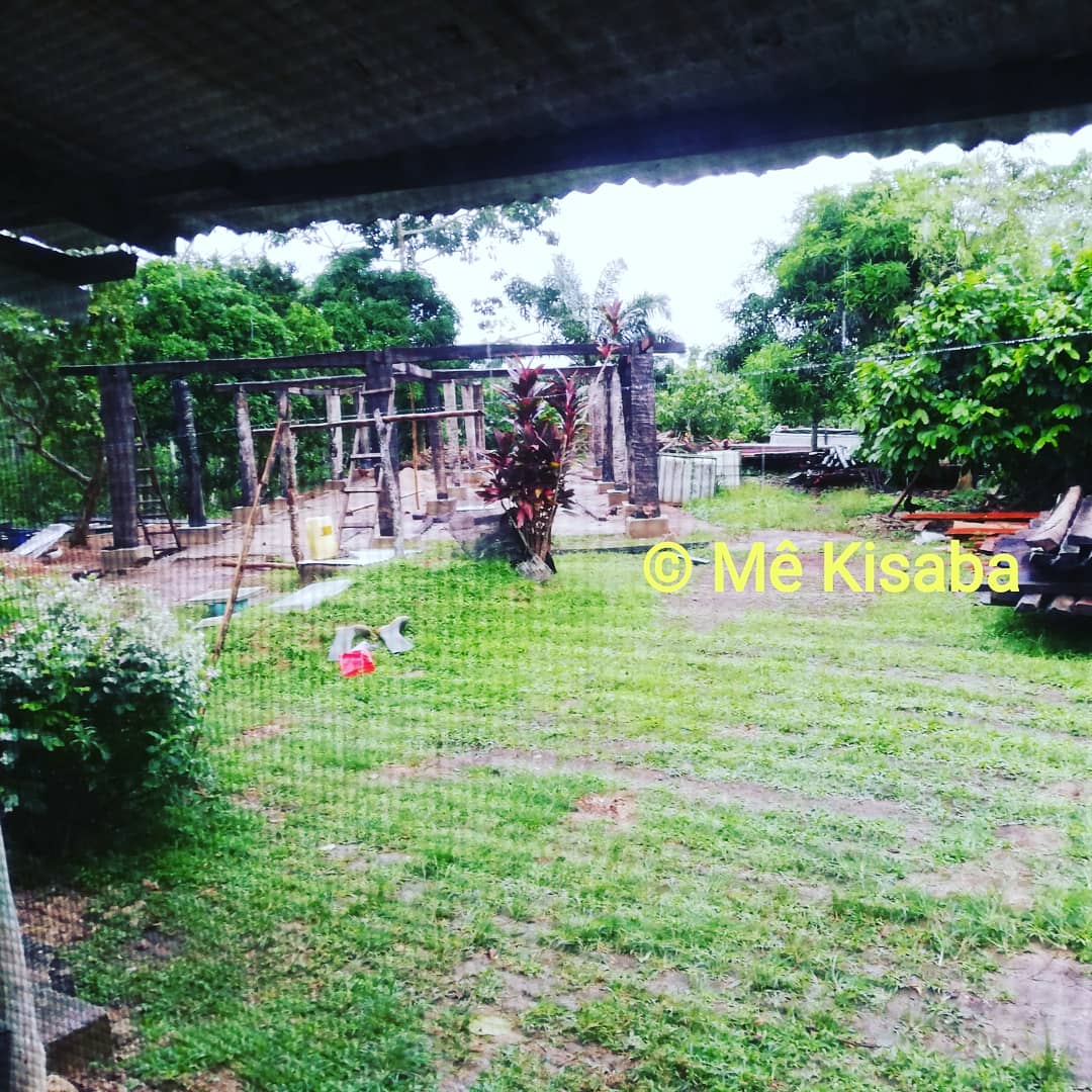 KisabaMe's tweet photo. #Assemblage des #piliers de #ronier on avance #petitàpetit 
#mekisaba #Abidjan #cotedivoire #maquis #Azaguié #authenticalmaquis #african #mood #food #drinks #music #lounge #restaurant #barcafe #ecolo #brousse #nature #auvert #Akyé #culture #coeur  
#DomaineduCorossol https://t.co/WKSYTD0nSf