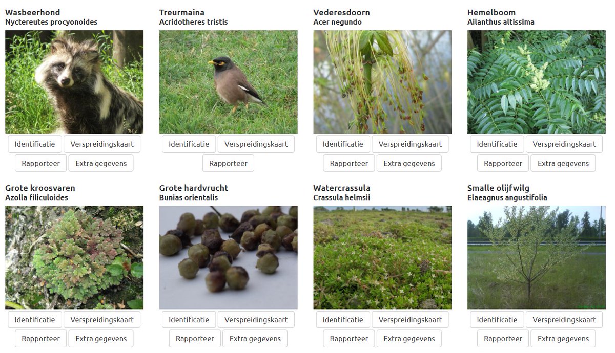 Tim Adriaens tweet media