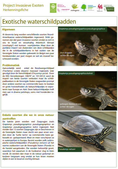 Tim Adriaens tweet media