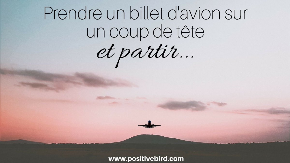 PPAFly20's tweet photo. Allez pourquoi pas ! Quelles sont les meilleures destinations de vos compagnies ? Vous nous conseillez quoi ?? #PPAFLY20 #AirlinesManager #PPA #avion #voyages https://t.co/xMwLu2wbhy