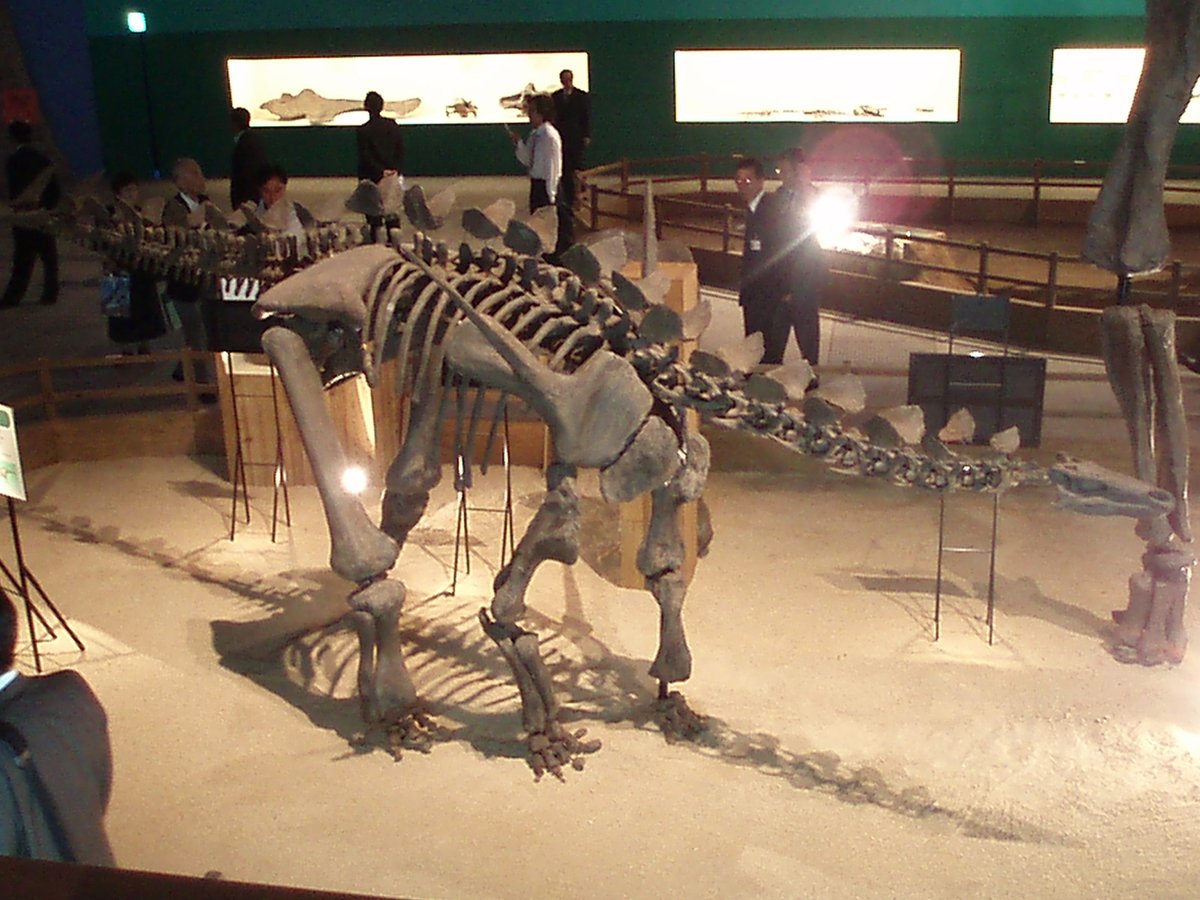 パンテオン 半遁モード 世界の巨大恐竜博06では ダケントルルスとして展示されていた骨格ですね たぶん 会場の配置のせいだと思いますが 斜め前方から撮影した写真しか手元にありません パンテオン 半遁モード 世界の巨大恐竜博06では ダケントルルスとして展示されていた骨格ですね たぶん 会場の配置のせいだと思いますが 斜め前方から撮影した写真しか手元にありません