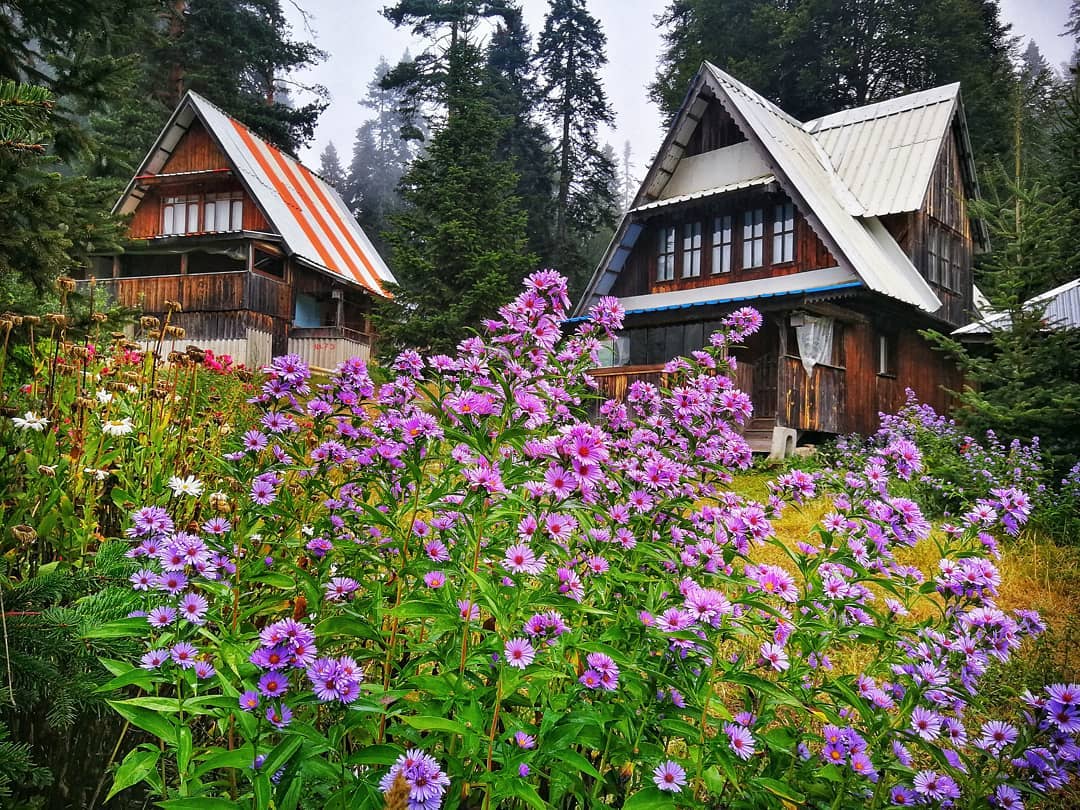 duzceiktm's tweet photo. #Düzce florasının pembesi, yeşili ve nicesi, berrak gökyüzünün mavisi ve yayla evlerinin yerel dokusu.❤️Düzce'de bulunan #BalikliYaylasi sizi görsel bir şölene davet ediyor.#ReTurkey #TurkishNature
📸 @tncy_sngl
@TCKulturTurizm @TCKulturPortali @GoTurkey @ResulTastan81 https://t.co/bj5A0KAM9k