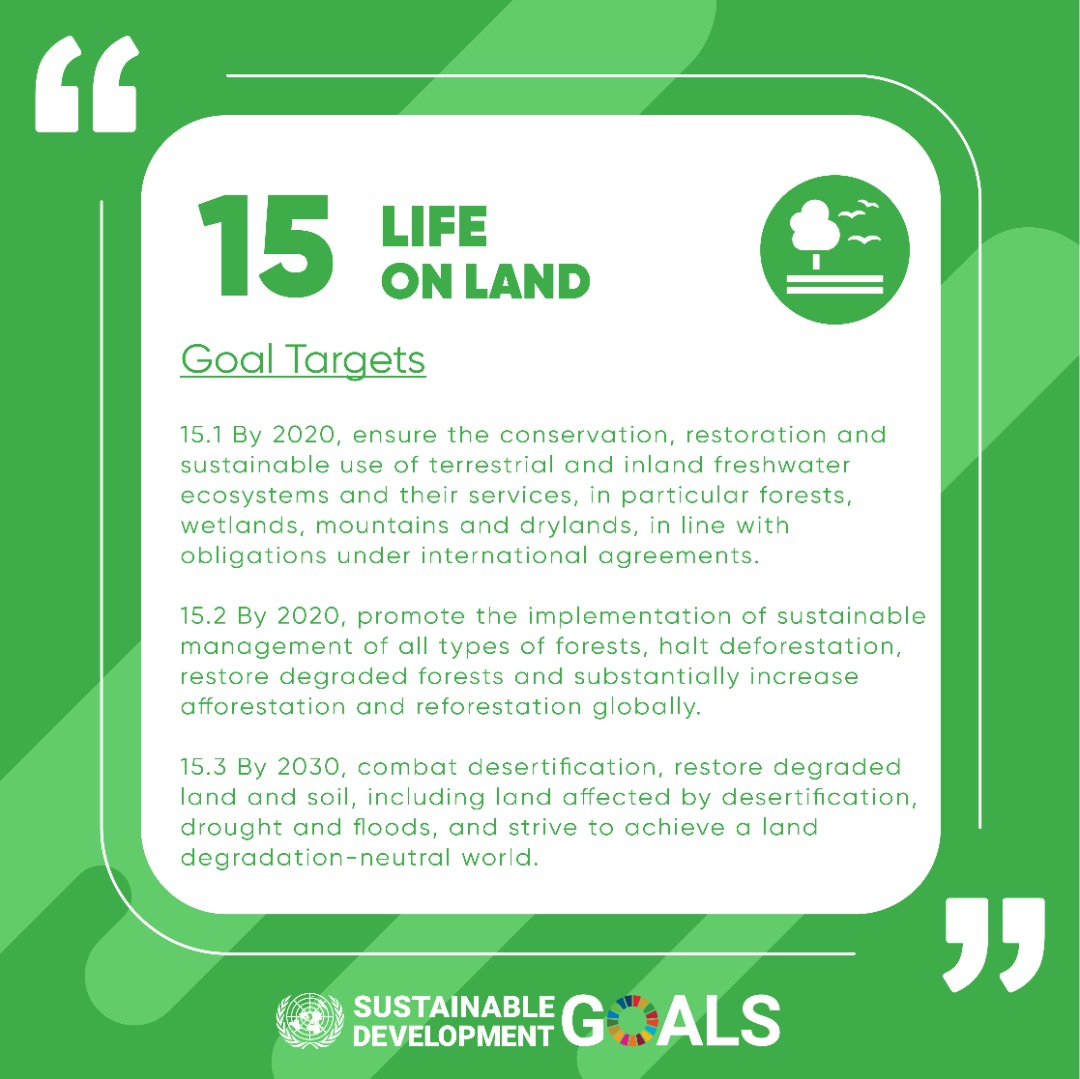 UNDPNamibia's tweet photo. #knowthesdgs
Forests cover 30 percent of the Earth’s surface, provide vital habitats for millions of species & are important sources for clean air & water.
Check out this link to learn more about #SDG15 focusing on Life on Land
https://t.co/N3MhM6sDGd https://t.co/SgqnVkwB7w