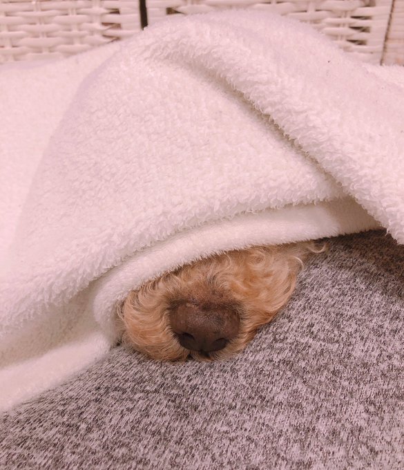 はん🥺💜 https://t.co/koPUxQkKoA<a href="/tag/nintendoswitch"class="tags"><span>#nintendoswitch</span></a><a href="/tag/fortnite"class="tags"><span>#fortnite</span></a>