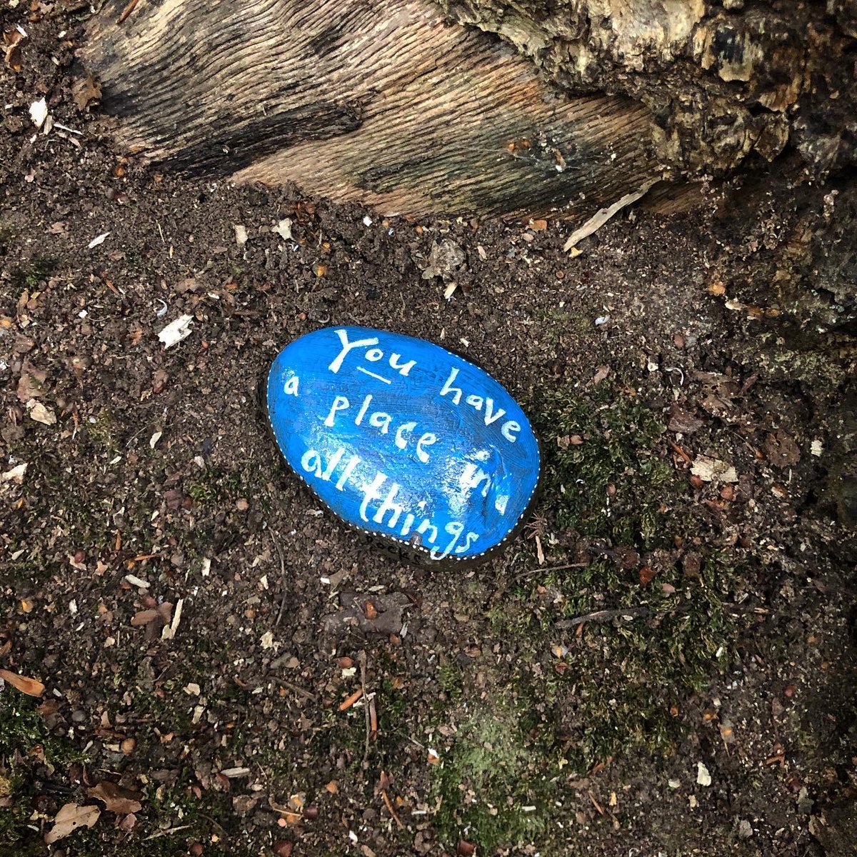 CompassionateRo's tweet image. Look up
↪️
You have a place in all things

Whatever is happening in me I find that looking up, esp in nature, brings new perspective &amp;amp; reminds me I’m interconnected with all life. You too have a place in all things🌱💚

#pebbleswithpurpose #compassionaterocks #365daysofcompassion