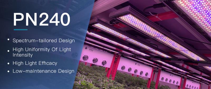 GrowSpec_Inc's tweet photo. What kind of LED grow lights would you like to use for your plants in indoor vertical farming?

#LEDgrow #verticalfarming, #cannabisgrow, #growspecbiotech https://t.co/OH92i2CYbL