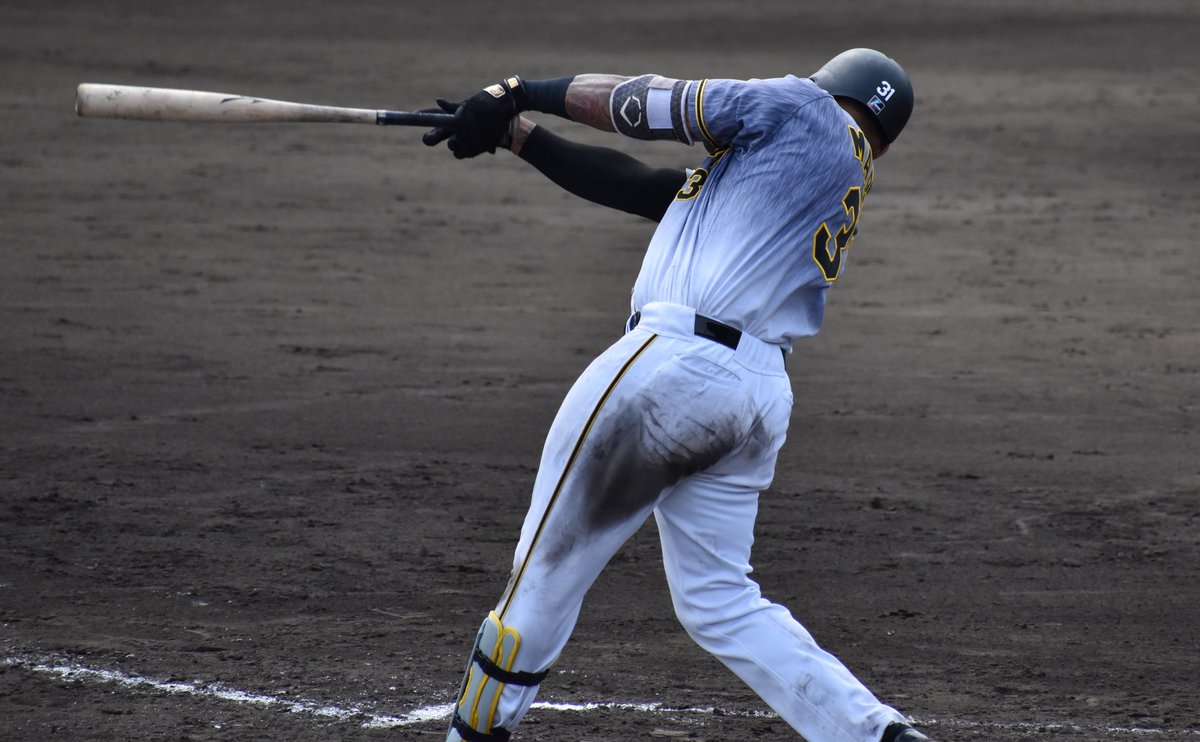 由宇2軍情報！
#井上広大 選手が決勝タイムリー‼️#小野寺暖 選手は、広島の #ジョンソン 投手からマルチ安打🐯#マルテ 選手もマルチ安打と好調です！仕合は5ー4で勝利しました✨
#阪神タイガース #2軍 #ファーム #由宇 #広島カープ