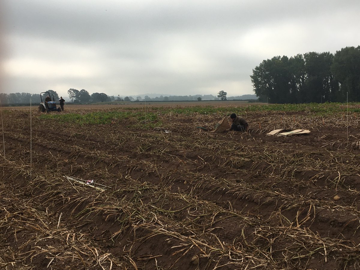 Dr Grace Milburn tweet media