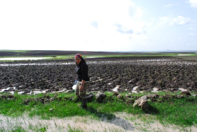 STEMBridgesQC's tweet photo. "I am an evolutionary herpetologist studying how amphibians' phylogenetic relationships and how they speciate. I work with frogs & toads in East Africa."
Xenia Freilich is faculty at QC and studied at CUNY.
#HHM #hsistem #HHMstem #cuny #stem #stemmentoring #stemlife
@QC_News https://t.co/KLKz6Rkgdu