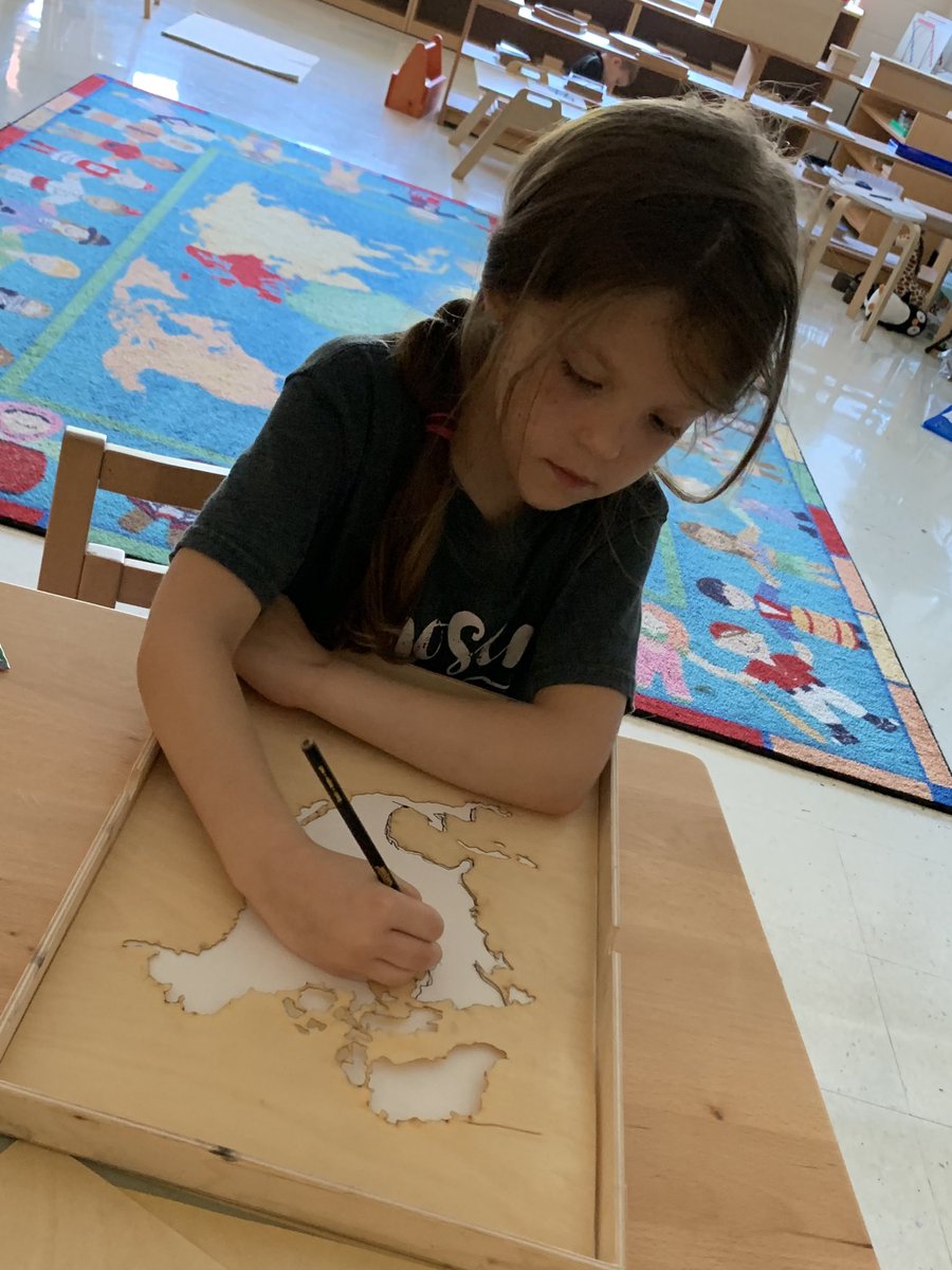 Liberty Primary School tweet media