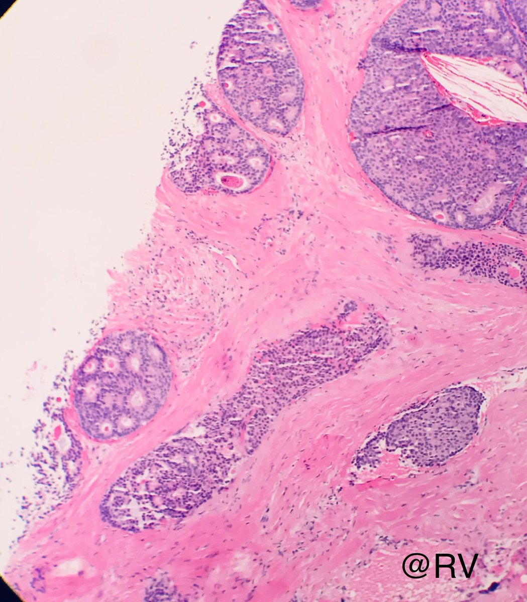 Rama Vidhun tweet media