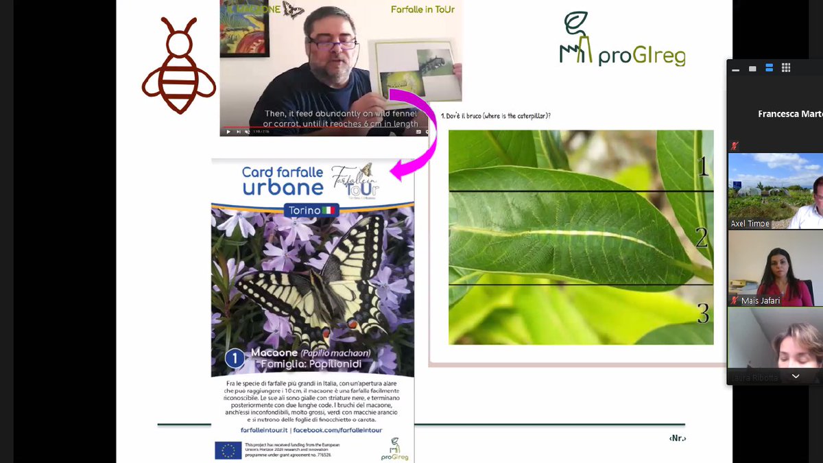 ceschina__'s tweet photo. Attending the @proGIreg online Mid-term Meeting, sharing experiences about #NatureBasedSolutions in different front-runner cities 🌳🌱🌼🐝

#Turin #Dortmund #Zagreb #Ningbo #nbs #nbs8 #pollinators #greencity #CitizenScience #greeninfrastructure #urbanbiodiversity #FarfalleinToUr https://t.co/RyYYvV2v0Z