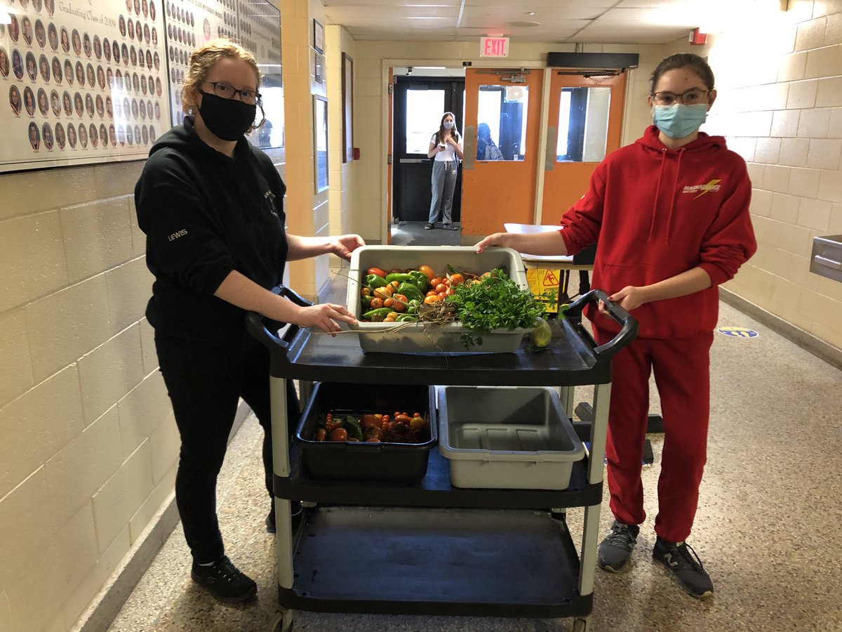 Fresh produce being grown ⁦<a href="/ClarkeRoad/">Clarke Road SS</a>⁩! Congrats on the bountiful harvest.