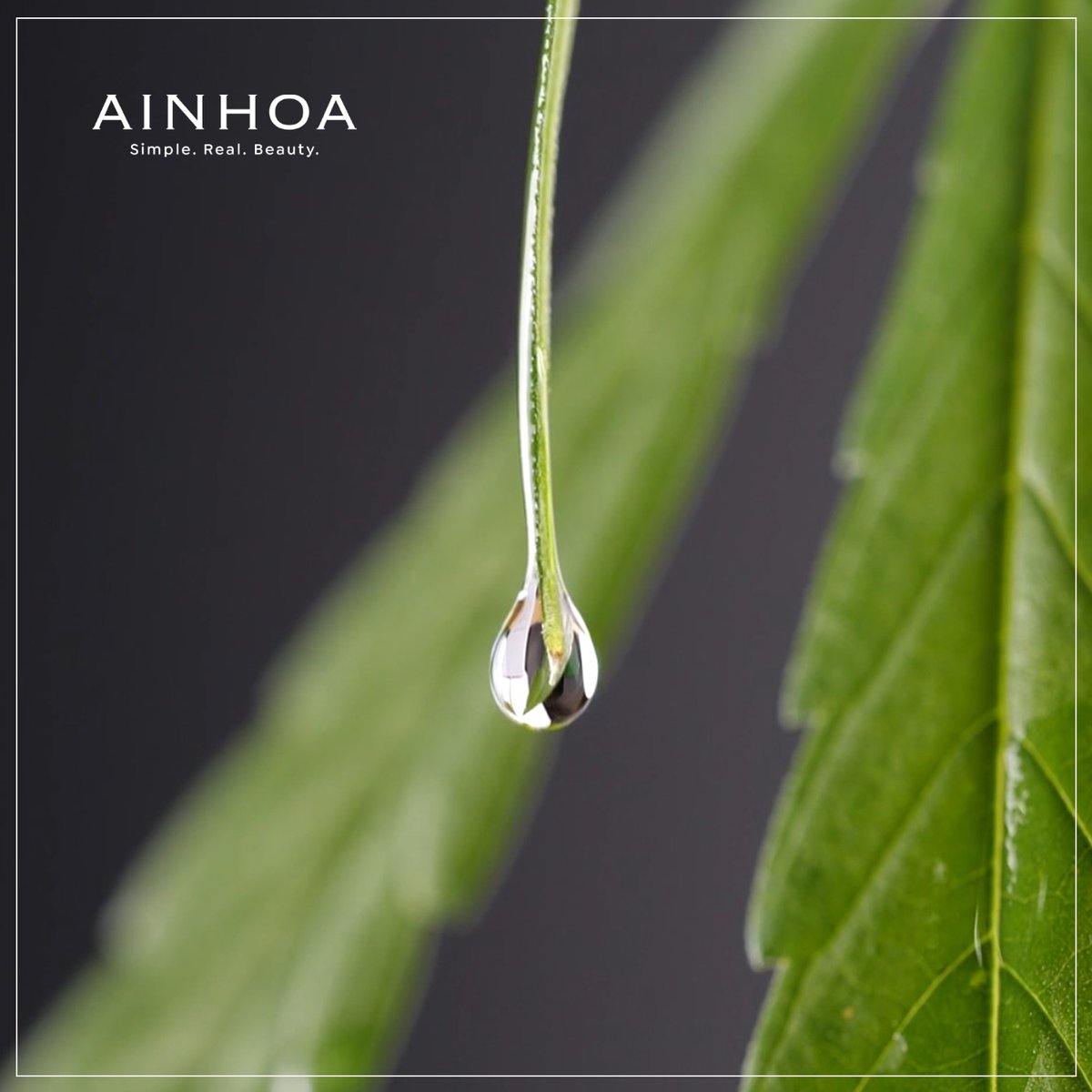 ainhoacosmetics's tweet photo. Prepárate para descubrir un activo extraordinario que ya está revolucionando el mundo de la cosmética. 

#cosméticanatural https://t.co/CQEzETbMwW