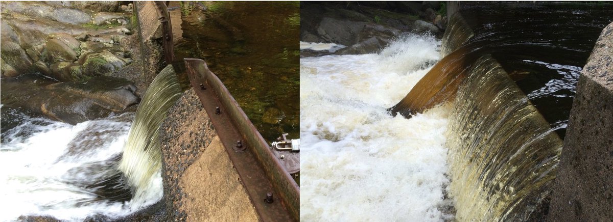 jakehosen's tweet photo. I'm recruiting multiple positions. Masters, phd, and postdoc are encouraged to apply. If you're interested in water quality, ecosystem science, sensors, and data, take a look: https://t.co/3YadooSU9x https://t.co/vgco0yxbGp
