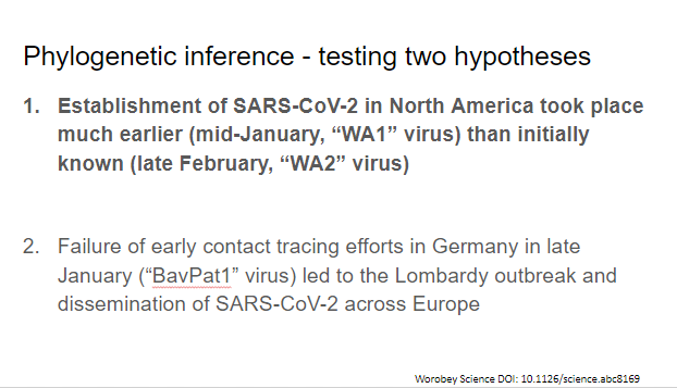 They address two hypotheses in this paper, we’ll focus on the first one, the introduction of CoV-2 into North America