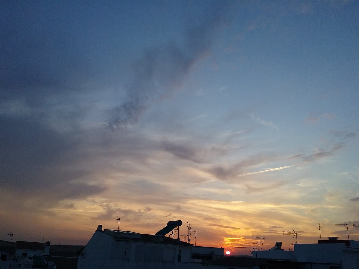 AnnArt_5's tweet photo. Some puctures of yesterday afternoon. Such a beautiful sky.
#PictureOfTheDay
#pictures #photoshoot #photography #PhotographyIsArt #photooftheday #PHOTOS #PhotoChallenge2020September https://t.co/cWGAT8hnqK