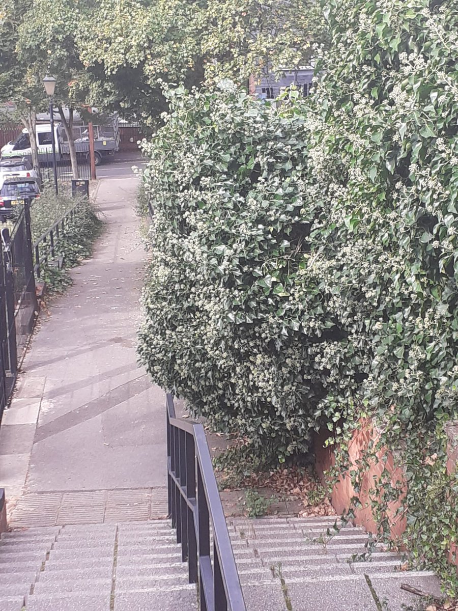 Dales Public Realm tweet media