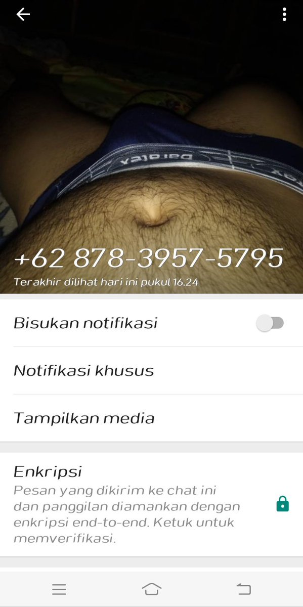 juni lly Wa 081380755141 tweet media