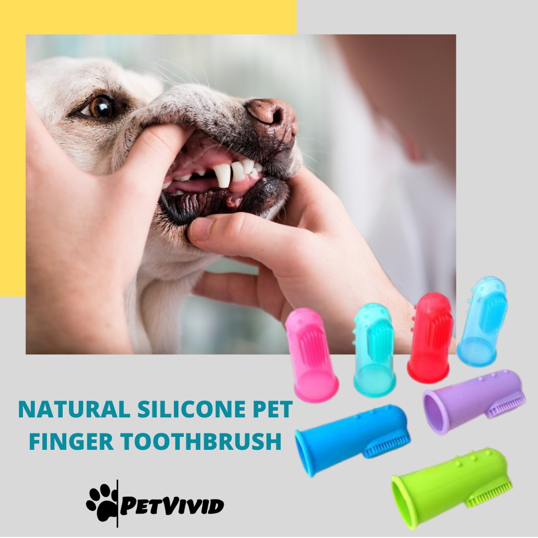 PetVivid's tweet photo. his toothbrush is great for cleaning your pets' gums and teeth. Helps to reduce plaque and tartar buildup, eliminate pet bad breath.
The toothbrush is made from soft silicone, safe, and non-toxic.
#pettoothbrush #dogtoothbrush #dogteeth #dogfriendly #ilovemydog #dogsdaily https://t.co/VtdJDJ3DeY