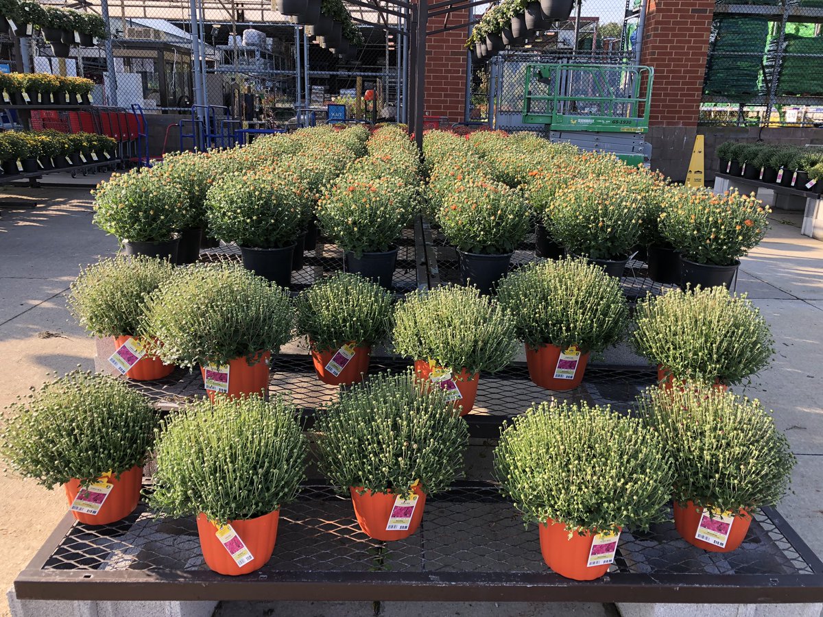 Todd S. - Battlefieldfarms tweet media