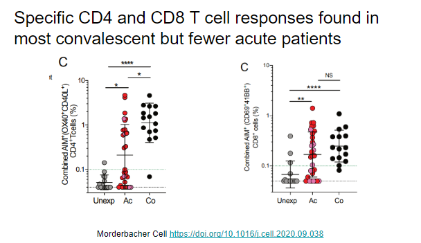 They look at specific CD4 and CD8 cell responses to SARS-CoV-2 and fine these are common in convalescent patients but less common in acute patients