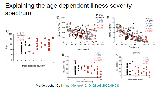 That age is associated with severe outcomes has been found around the globe. They report this in their cohort. They find that naive CD4 and CD8 cell percentage declines with age and that naive CD8 cell percentage is associated with severe disease for acute and convalescent cases