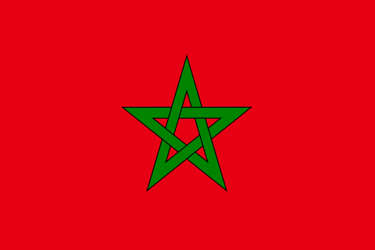 Cette étoile représente le sceau du prophète Suleyman. Le vert est la couleur qui représente habituellement l'islam.This star represents the seal of the prophet Suleyman .Green is the color that usually represents Islam.