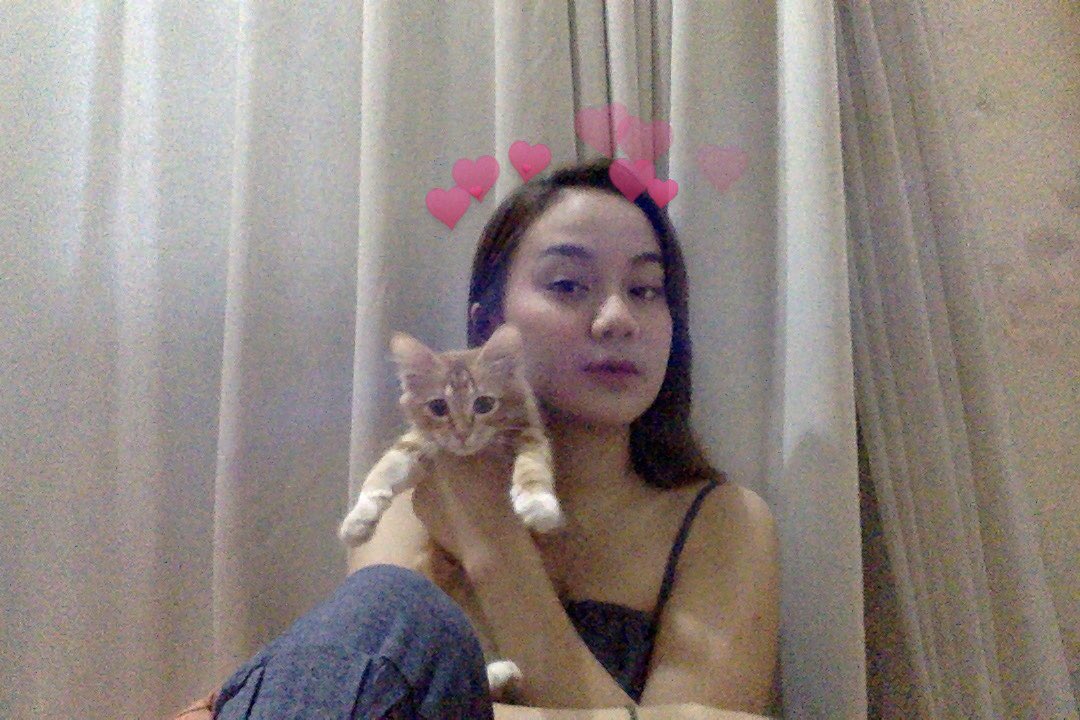 emang iya ada kucing itu jadi bikin tenang? berlaku gak sama kucing oren 🥴