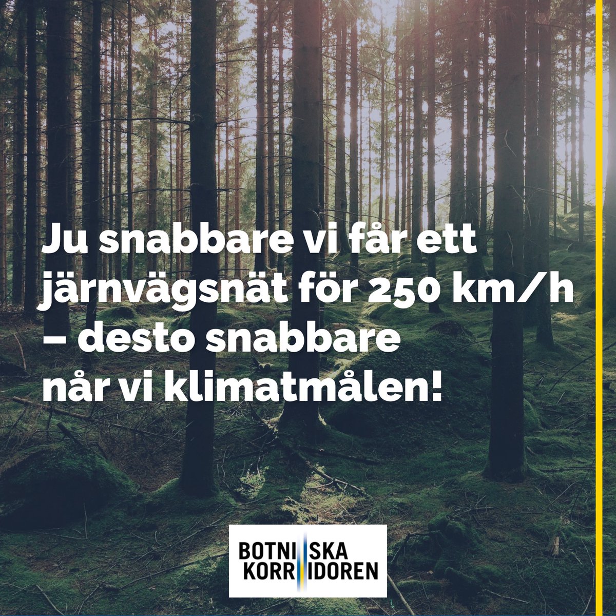 Bothnian corridor tweet media